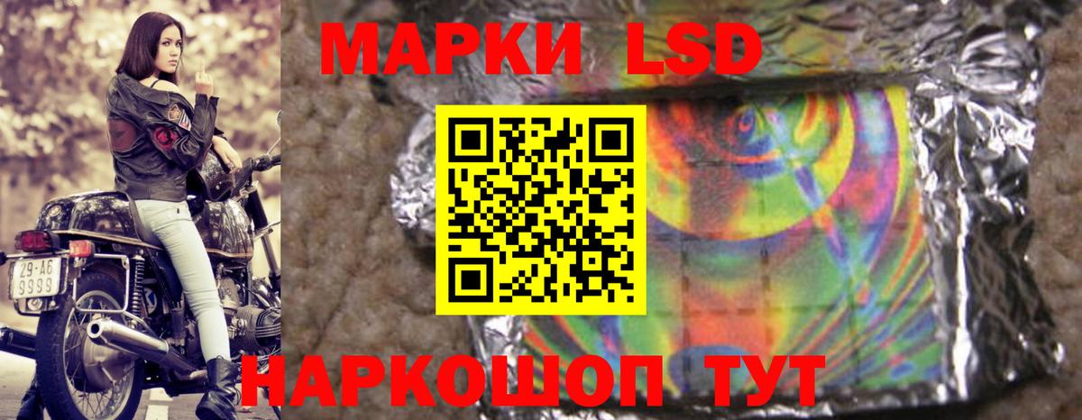 блэк спрут как зайти  ЛСД экстази  Гудермес  Вход с VPN  ЛСД экстази кислота  ЛСД экстази ecstasy 