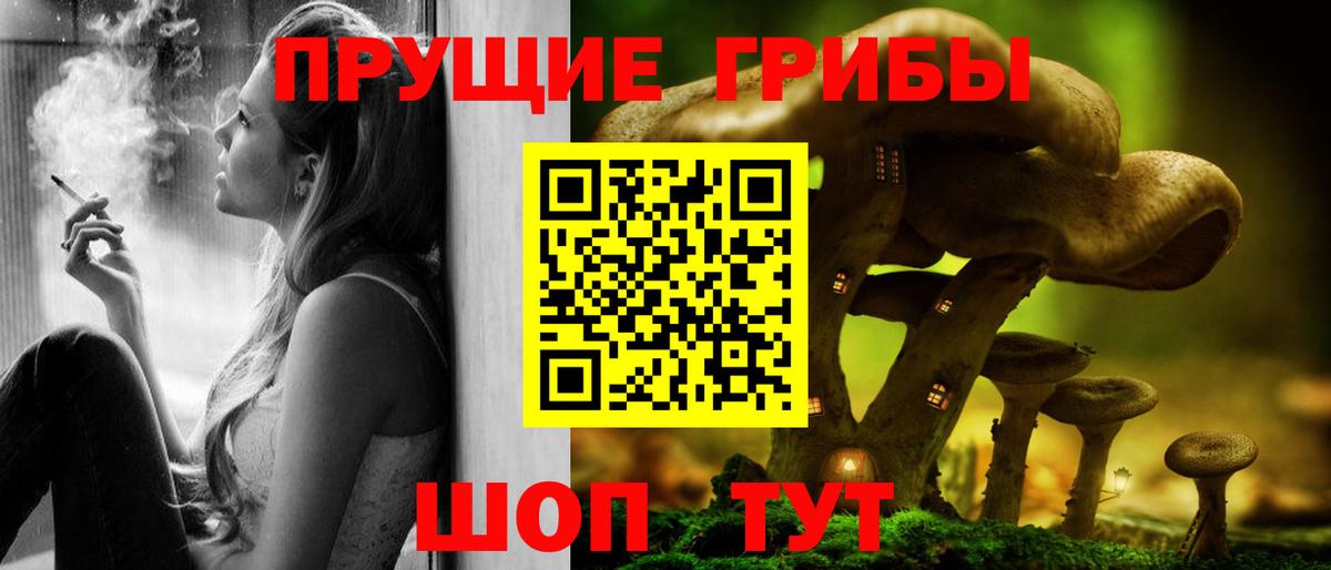 Псилоцибиновые грибы Magic Shrooms  Галлюциногенные грибы Psilocybe  Гудермес  Вход с VPN 